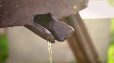 Eski bir meyve sıkacağıyla taze elma suyu hazırlıyorum. Köyde elma şarabı üretmek için taze elmaları ahşap pres makinesinden kovaya sıkıştır. Meyve ambalajı, gıda işleme deposu 4K