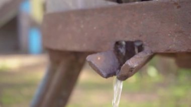 Eski bir meyve sıkacağıyla taze elma suyu hazırlıyorum. Köyde elma şarabı üretmek için taze elmaları ahşap pres makinesinden kovaya sıkıştır. Meyve ambalajı, gıda işleme deposu 4K