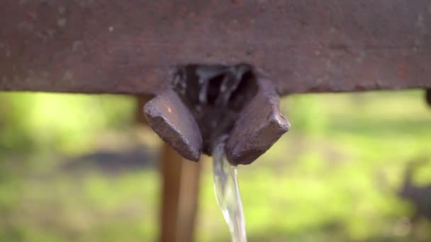 Preparation of fresh apple juice with an old fruit press. Close up squeezing of fresh apples in wooden press to bucket to produce cider in village. Fruit packaging warehouse, food processing 4k — 图库视频影像