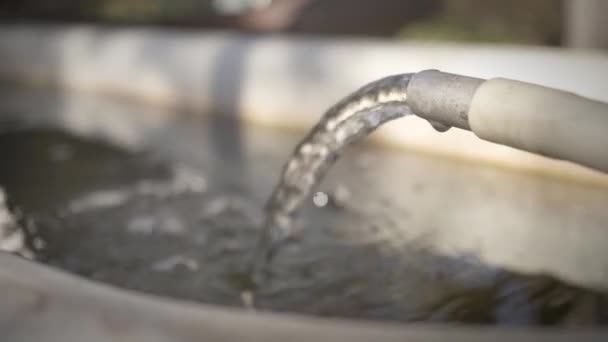 Remplissage du baril en plastique avec de l'eau douce à travers le tuyau. Approvisionnement en eau les jours secs d'été. Grande réserve d'eau pour arroser le jardin, l'herbe, les fleurs, les champs, les cultures, les plantes — Video