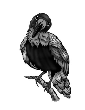Dalın üzerinde oturan siyah kuzgun, beyaz arka planda izole edilmiş karga çizimi.