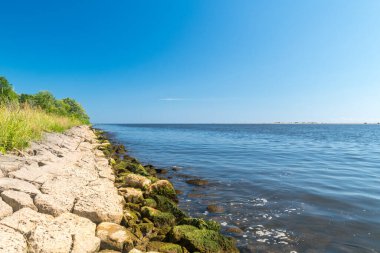 Polonya 'nın Gdansk kentindeki Sobieszewo adasındaki Baltık Denizi' ne Vistula kıyısındaki taşlı nehir kıyısı.