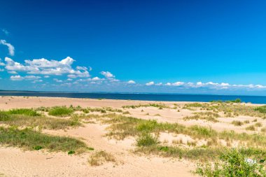 Sobieszewo adasında yaz mevsiminde Baltık Denizi plajı.