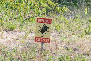 Gdansk, Polonya - 11 Temmuz 2021: Polonya dilinde böcek uyarısı işareti.