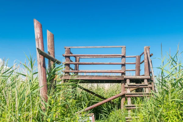 Gdansk Polen Juli 2021 Observationsplattform Vid Naturreservatet Mewia Gdansk — Stockfoto