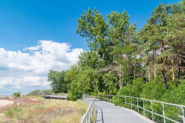 Polonya 'daki Baltık Denizi kıyısındaki Hel Yarımadası' nın sonundaki sahil boyunca gezinti..