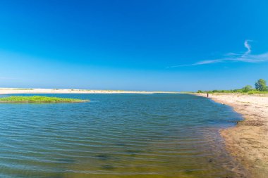 Doğaya yakın plaj. Sobieszewo Adası 'nda Mewia Lacha rezervi..
