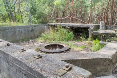 Polonya 'daki ormanda Hel tahkimatının yangın pozisyonu.