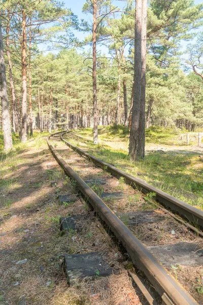 Schmalspurbahnen Kurven Zur Sommerzeit Wald Auf Der Halbinsel Hel — Stockfoto