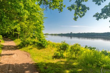 Vistula Nehri 'nin Vistula Nehri' nin kıyısından Baltık Denizi 'ne kadar uzanan güzel bir yaz manzarası..