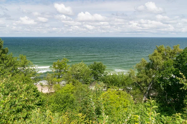 罗兹韦对波罗的海的夏季风景 从悬崖上看 — 图库照片