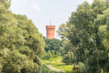 Ağaçların üzerinden kule. Töton Kalesi, Swiecie 'de kısmi harabe.