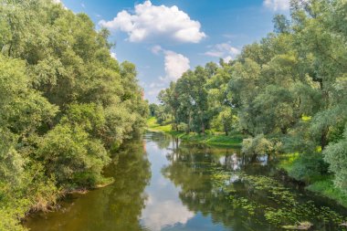 Wda Nehri Polonya 'da yaz mevsiminde.