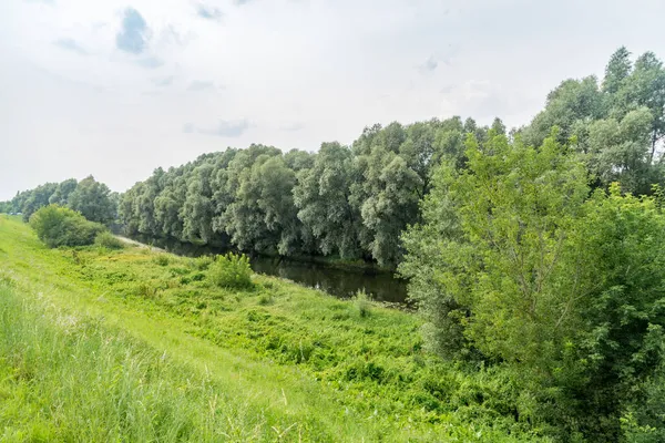 ポーランドの夏時間のWda川 — ストック写真