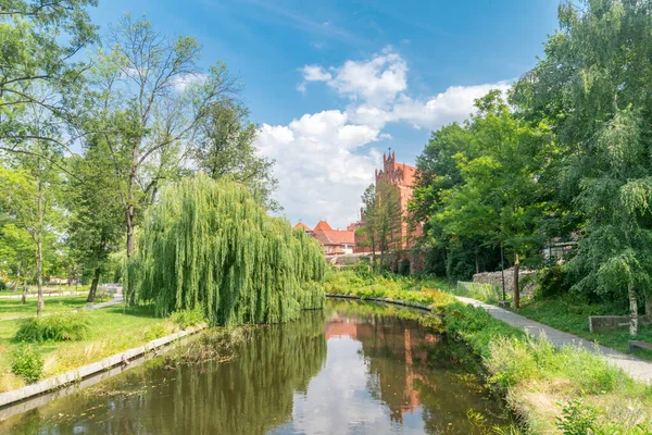 Vista Verano Del Río Wierzyca Parque Ciudad Starogard Gdanski — Foto de Stock