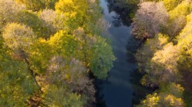 Sonbaharda ağaçlar arasındaki nehirde tepeden aşağı manzara.