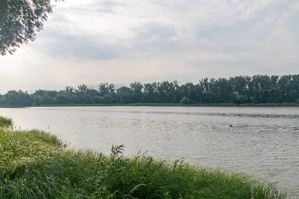 ポーランドのトルンで夏の静かなヴィスワ川の美しい景色 — ストック写真