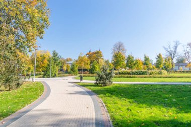 Polonya Zambrow 'daki Ksiezy Lasek Şehir Parkı.