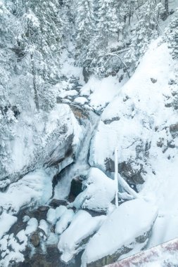 Tatra Ulusal Parkı 'ndaki Tatra dağlarında Wodogrzmoty Mickiewicza şelalesi. Roztoka Dağı 'ndaki Şelale.