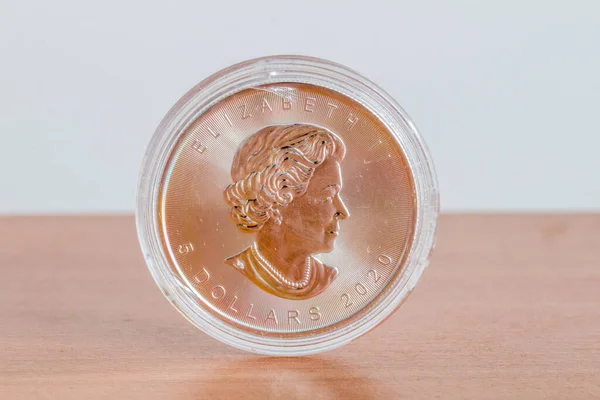 Canadese Dollar Munt Gemaakt Van Pur Silver Zilveren Munt Met — Stockfoto