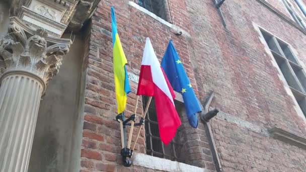 Vlaggen Van Oekraïne Polen Europese Unie Symbool Van Solidariteit Met — Stockvideo