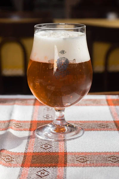 Kutaisi, Gürcistan - 19 Mart 2022: Bir bardak Siyah Aslan Birası.