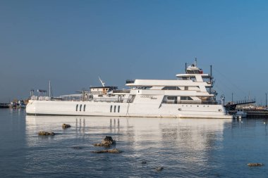 Paphos, Kıbrıs - 2 Nisan 2022: Okyanus Vizyonu yolcu gemisi.
