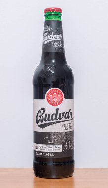 Pruszcz Gdanski, Polonya - 6 Nisan 2022: Budweiser Budvar Dark bira.