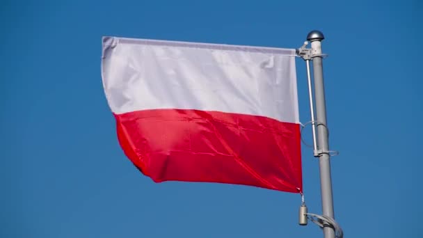 Polská Vlajka Vlaje Větru Bílá Červená Vlajka Modré Obloze Polská — Stock video