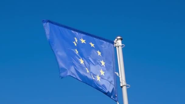 Європейський Прапор Махає Вітром Офіційний Символ Ради Європи Coe — стокове відео