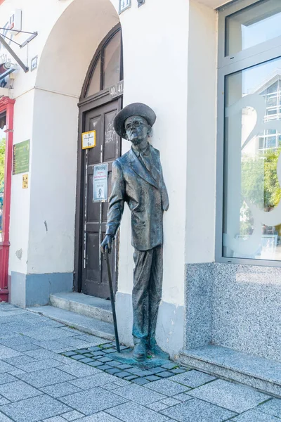 Szombathely Węgry Czerwca 2022 Statua Jamesa Joyce — Zdjęcie stockowe