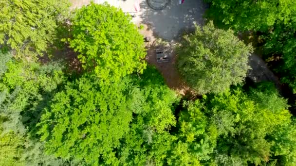 Aerial View Drina River Trees Beautiful View Mountains River Bosnia — Stock Video