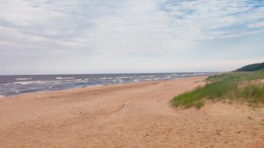 Baltık Denizi 'nde rüzgarlı bir yaz gününde kumsal. Letonya 'da Baltık Denizi kıyıları.
