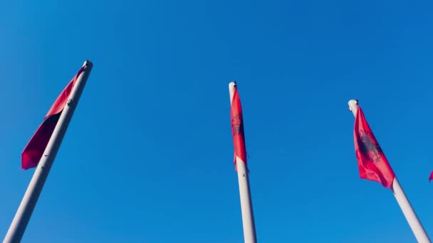 Mengibarkan Bendera Nasional Albania Langit Biru — Stok Video