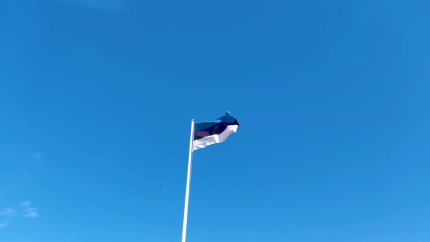 Waving National Flag Estonia Blue Sky — Vídeo de stock