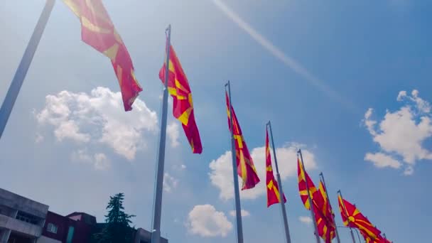 Waving Flags North Macedonia — Stockvideo