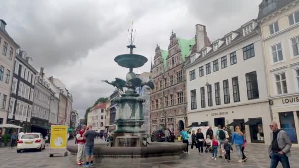 Copenhagen Denmark July 2022 Stork Fountain Copenhagen — Video Stock