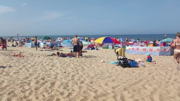 Stegna Poland August 2022 Crowded Stegna Beach Summer Time — стокове відео