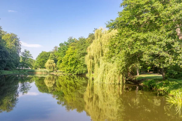 Pond Orunia Park Summer Time Gdansk Poland — Stock Photo, Image