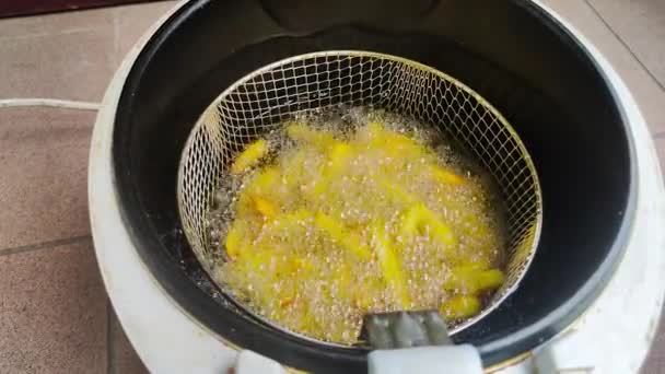 Frying French Fries Fryer — Stock Video