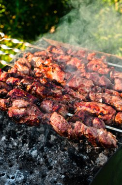 mangal üzerinde pişirme et parçaları