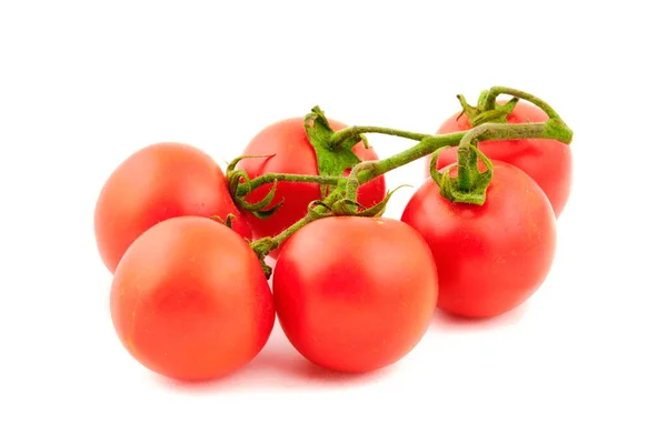 Leckere Frische Rote Tomaten Auf Zweig Isoliert Auf Weißem Hintergrund — Stockfoto