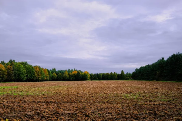 Brown Plowed Field Surrounded Trees Autumn — Stock Photo, Image