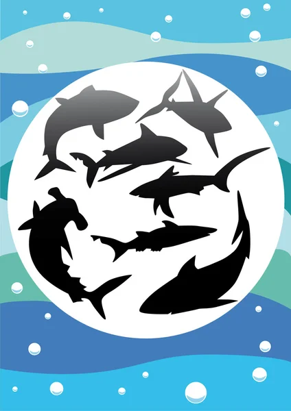 Silhouette vettoriali degli squali — Vettoriale Stock