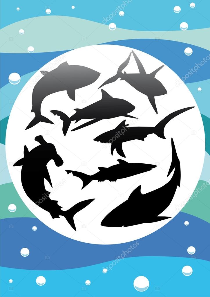 Vector silhouettes of sharks