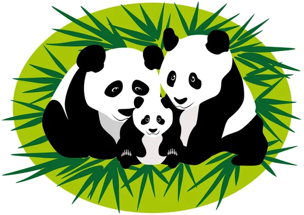 Osos de panda imágenes de stock de arte vectorial | Depositphotos