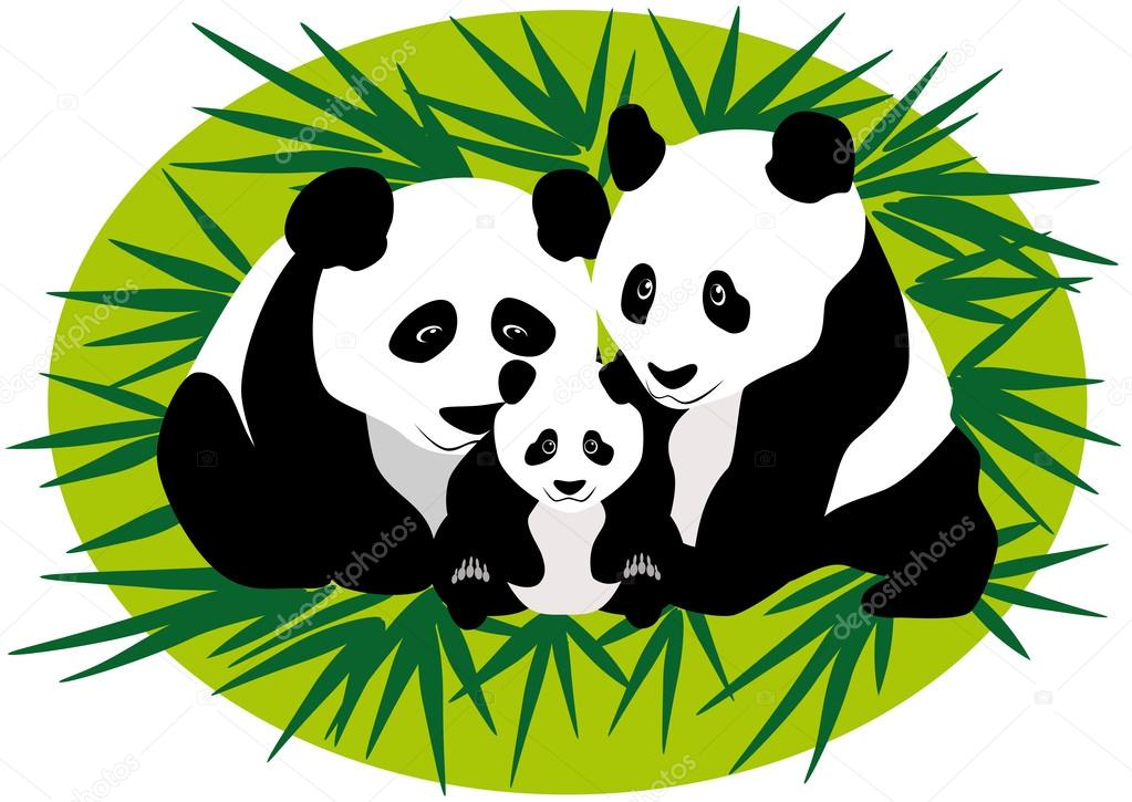 Family Panda Bears