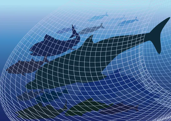 Schadelijke visserij netwerk — Stockvector