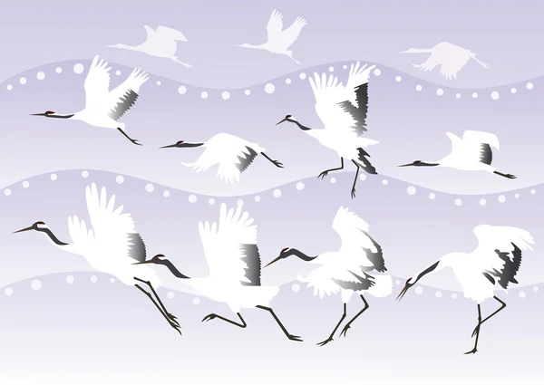 Background with Japanese cranes — Stock Vector