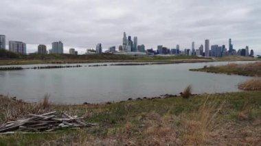 Panoramik Şikago gökyüzü manzarası. Kuzeyli Adası 'ndan solda bir gölet, odun yığını ve rüzgarda esen yabani otlar bulutlu bir günde ön planda..